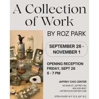 Opening Reception: A Collection of Work by Roz Park