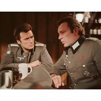 2025 Honoring Veteran's Day: Where Eagles Dare
