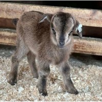 2026 Spring Weekend at the Inn at East Hill Farm