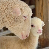 2026 Mother's Day Weekend at the Inn at East Hill Farm