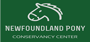 Hannaford's Used Book Sale to Benefit Newfoundland Pony Conservancy Center