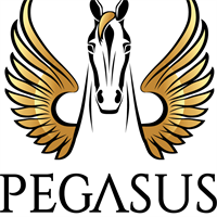 Pegasus Insurance Agency