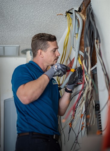 Gallery Image _DSC3025.jpg