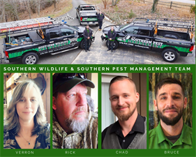 Southern Wildlife Management, LLC - dba Southern Pest Management Southern Wildlife Management, LLC - dba Southern Pest Management