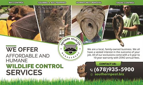Licensed Wildlife Removal - https://southernpest.net/wildlife/ Licensed Wildlife Removal - https://southernpest.net/wildlife/