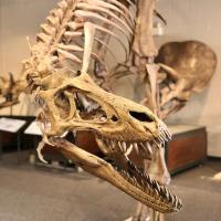 Get Connected - Quinte Museum of Natural History