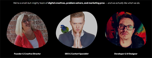 Meet the Internet Marketing Synergies Team