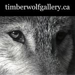 Timberwolf Gallery Timberwolf Gallery