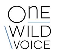 One Wild Voice - Brand Consulting & Management
