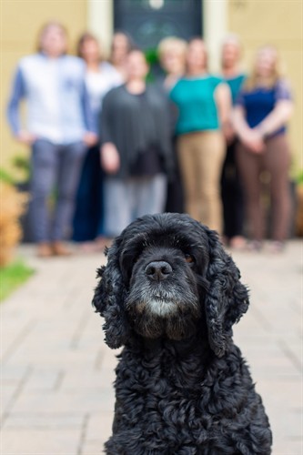 Gallery Image 29-_DSC6129.jpeg