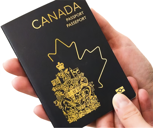 Gallery Image Screenshot_2026-02-18_at_3.41.59%E2%80%AFPM.png