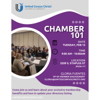 Chamber 101