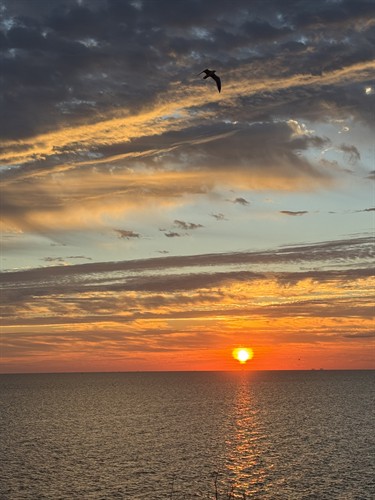 Gallery Image Photo_Sep_30_2025._7_27_22_AM.jpg