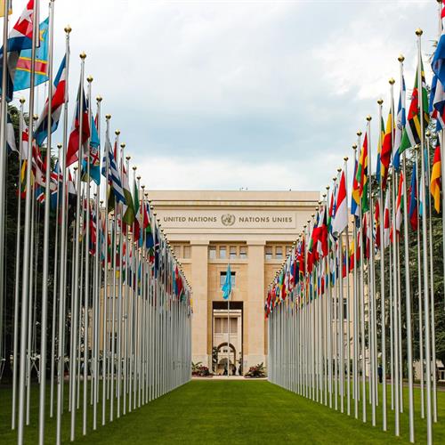 Rotary at the UN