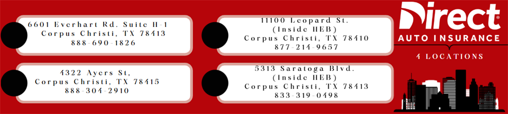 Direct Auto Insurance - Leopard Direct Auto Insurance - Leopard