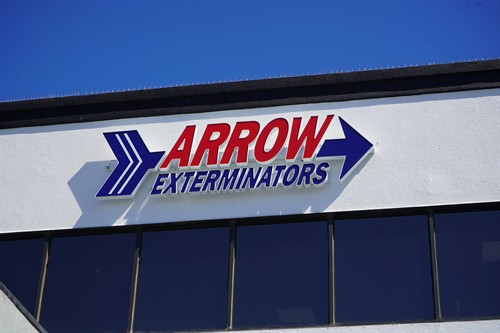 Gallery Image DSC08978.JPG