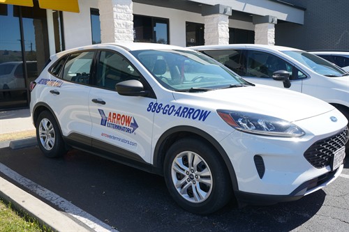 Gallery Image DSC08979.JPG