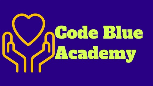 Gallery Image Code_Blue_Academy.jpeg