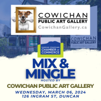 Chamber Mix and Mingle | Cowichan Public Art Gallery - March 06