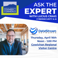 Ask the Expert | DataStream Networks - Cybersecurity and AI