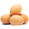 Tour: Island Eggs, Aug. 26/15