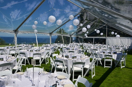 Jumbo Track tent with Clear Top