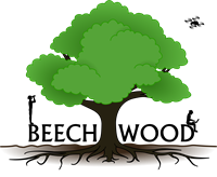 Beechwood Tree Service & Consultancy