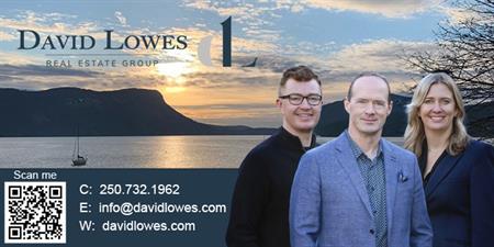 David Lowes Real Estate Group