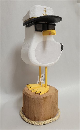 Gallery Image dude_gull.jpg