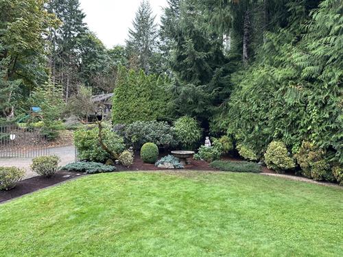 An After position that included shrub pruning and llawn maintenance