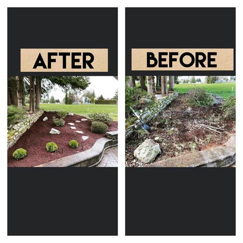 Another Before and After Comparison