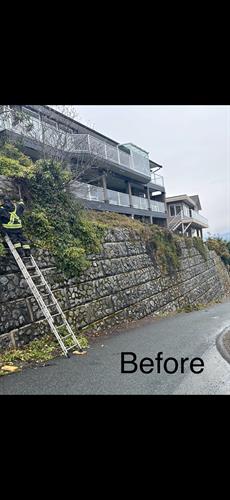 Wall work