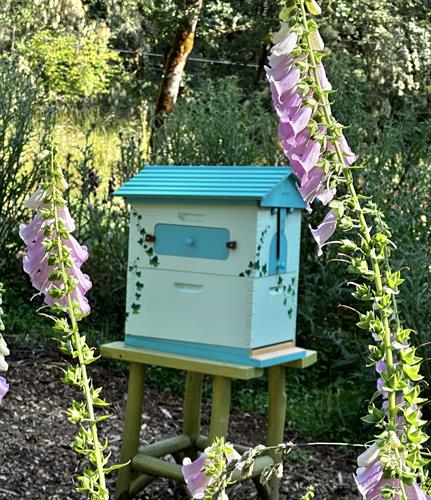 This is a flow hive from Australia 