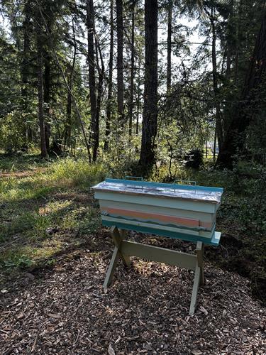 A Top Bar Hive from Africa 