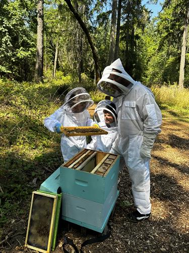 Children are welcome on our Bee Farm Tours
