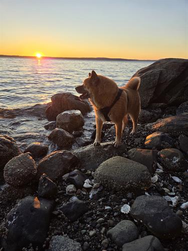 Kobe, our Aries Manager, enjoying the sunrise