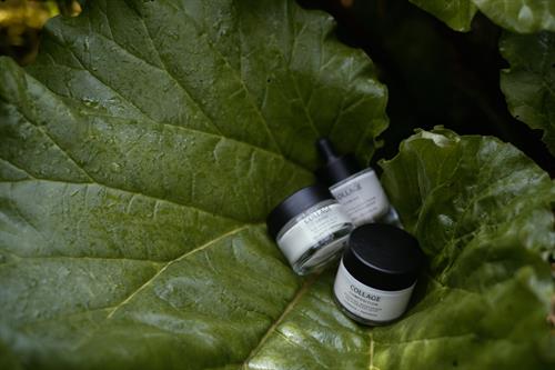 Gallery Image 20250520_CollageBeautyCam2_0255.jpg