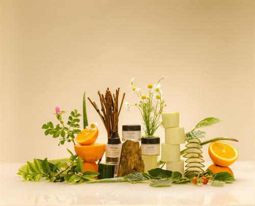 Gallery Image 20250724-Collage1084-Edit.jpg