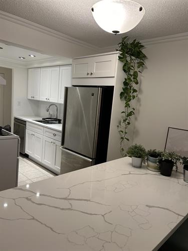 complete kitchen renovations