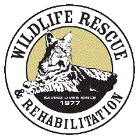 Seasonal Wildlife Rehabilitation Caretaker