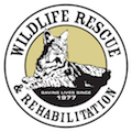 Wildlife Rescue & Rehabilitation, Inc.