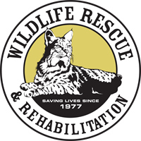 Wildlife Rescue & Rehabilitation, Inc.