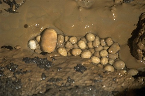 Gallery Image 25_cave_pearls.jpg