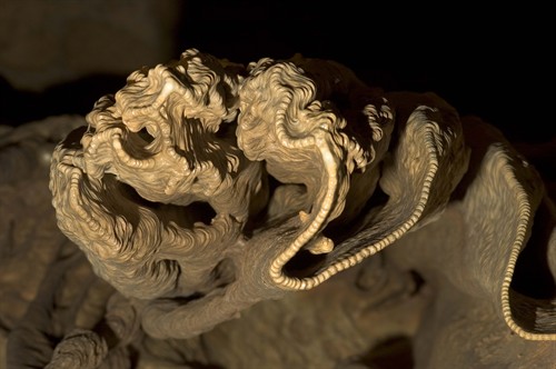 Gallery Image 27_scroll.jpg