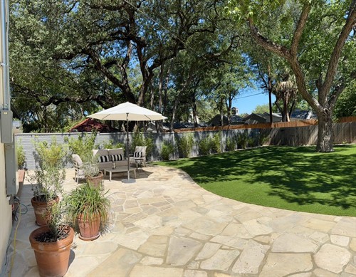 Backyard Retreat in Olmos Park