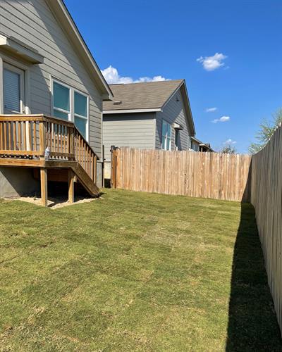 Backyard Bermuda Sod