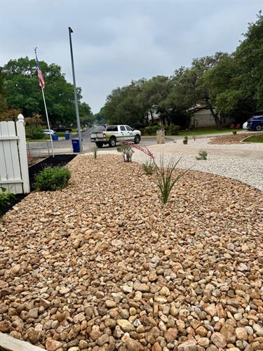 Xeriscape Transformation