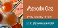 Art in Conservation: Watercolor Class