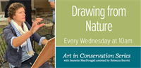 Art in Conservation: Drawing from Nature