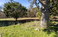 The Boehm Team - Realtors - Keller Williams Realty - Boerne